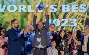 Ban tổ chức công bố gạo ST25 đoạt giải nhất gạo ngon nhất thế giới 2023