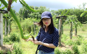 Giải Báo chí toàn quốc về nông nghiệp, nông dân, nông thôn Việt Nam: Diễn đàn của những vấn đề "tam nông" 