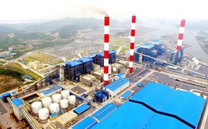 Nhiệt điện Quảng Ninh (QTP) chốt ngày tạm ứng cổ tức năm 2023
