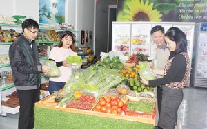 Quảng Nam: Núi Thành nâng tầm sản phẩm OCOP, hướng đi mới tăng thu nhập cho người dân