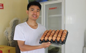 Một nông dân trẻ Nam Định nuôi gà đẻ cho thu nhập khủng, gà đẻ đến đâu, bán hết đến đó