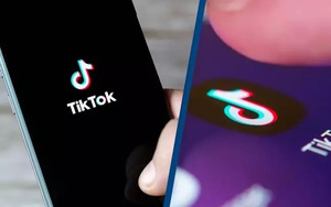 TikTok làm gì sau kết luận thanh tra của Bộ TT&TT về những vi phạm?