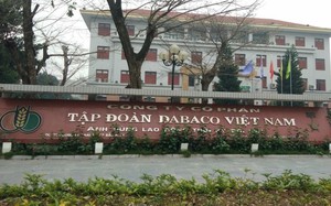 Dabaco Việt Nam bán 100% vốn tại công ty lợn giống ở Hà Tĩnh, kinh doanh 