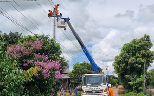 PC Đắk Lắk: Đảm bảo vận hành an toàn lưới điện khu vực huyện Ea Súp