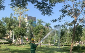 Những người gìn giữ “lá phổi xanh” cho dải trung tâm thành phố Hải Phòng