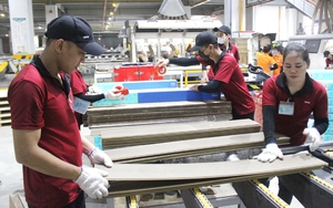Bình Dương: Nhiều doanh nghiệp bị cắt giảm đơn hàng, hơn 127.000 lao động bị ảnh hưởng việc làm