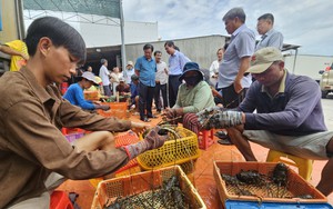 Thời cơ &quot;vàng&quot; để doanh nghiệp xuất khẩu thay đổi cách tiếp cận, khai thác hiệu quả thị trường Trung Quốc 