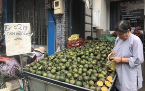 Cam sành miền Tây rớt giá thê thảm, bán lẻ chỉ còn 5.000 đồng/kg, người Sài Gòn thi nhau bán cam
