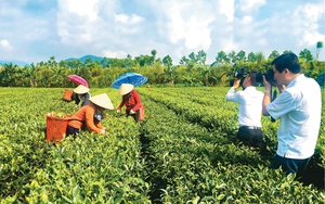 Đề tài tam nông - 'mảnh đất' màu mỡ, tạo nhiều cảm hứng để báo chí 'canh tác'