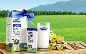 Vinamilk (VNM) sắp chi 2.900 tỷ đồng để trả cổ tức 2 đợt liên tiếp