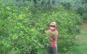 Một xã miền núi ở Tuyên Quang vừa tự tin rời khỏi danh sách 135, hoàn thành xây dựng nông thôn mới