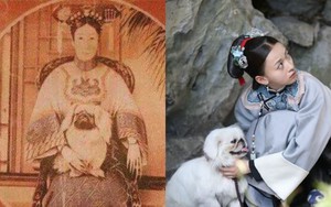 Chó cưng của Từ Hi Thái hậu: Được cung phụng như "Tiểu a ca"