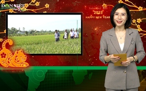 Bản tin Dân Việt Nóng 1/2: Nông dân ĐBSCL ra đồng đầu năm kỳ vọng vụ mùa bội thu