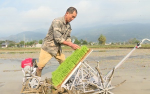 Phù Yên (Sơn La): Nông dân đưa máy cấy lúa vào thử nghiệm