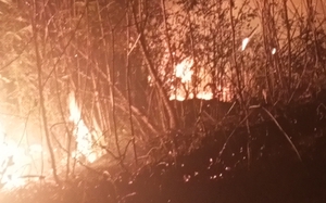 Lào Cai: Đang cháy rừng tại Sa Pa