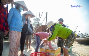 Cá cháo là cá gì mà dân Quảng Trị vừa đưa thuyền vô bờ thương lái đã móc lên cân mua ngay và luôn?