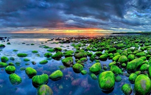 Hai bãi biển ở Việt Nam thuộc top biển phủ xanh rêu đẹp mê mẩn nhất thế giới