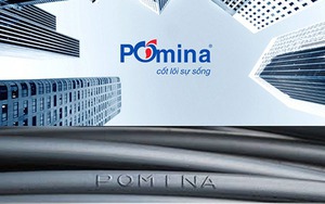 Thép Pomina (POM) thay &quot;ghế&quot; chủ tịch