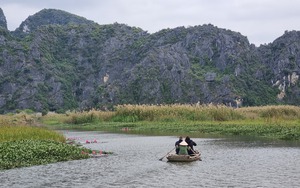 Ninh Bình: Hấp dẫn, độc đáo Khu bảo tồn thiên nhiên ngập nước lớn nhất vùng vịnh Bắc Bộ
