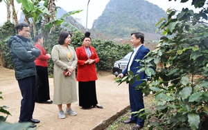 Phó Chủ tịch TƯ Hội NDVN Cao Xuân Thu Vân kiểm tra công tác xây dựng nông thôn mới tại Sơn La