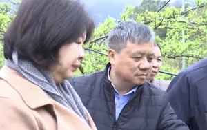 Video: Trung ương Hội Nông dân Việt Nam khảo sát mô hình trồng cây ăn quả tại Sơn La
