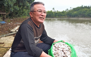 Nuôi loài cá ít ai nuôi, chăm nhàn, ông nông dân này ở Hải Dương lãi nửa tỷ/năm