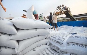 Không để gạo Việt dần vắng bóng trên thị trường tỷ dân