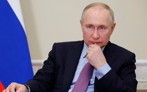 "Cú búng mũi" của Putin thu về cho Nga hàng tỷ USD