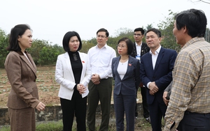 Khảo sát tiến độ triển khai dự án đường Vành đai 4 tại huyện Thanh Oai và Quận Hà Đông