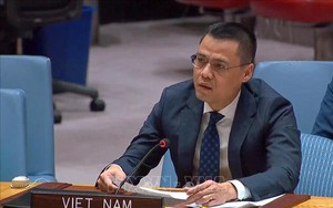 Việt Nam kêu gọi chấm dứt xung đột, tìm giải pháp hòa bình cho Ukraine