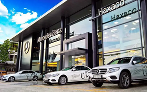 Haxaco (HAX) lãi lớn năm 2022, thêm cá nhân mạnh tay mua 10,5 triệu cổ phiếu, nâng sở hữu lên hơn 15%