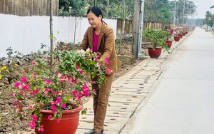 Về xã nông thôn mới kiểu mẫu ở Hải Phòng có đường làng sạch đẹp, muôn hoa khoe sắc, phố cũng không bằng