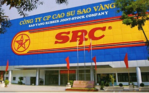 Cao su Sao Vàng (SRC) lên kế hoạch lợi nhuận 2023 tăng gấp gần 3 lần cùng kỳ