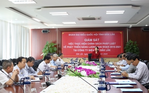 Đoàn Đại biểu Quốc hội tỉnh Đắk Lắk: Giám sát chuyên đề tại PC Đắk Lắk
