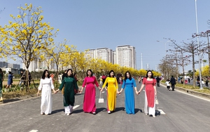 Chen nhau chụp ảnh "thông trưa" trên đường hoa phong linh ở Hà Nội