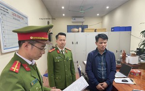 Bắt Trạm trưởng kiểm lâm ở Phú Thọ vì lập khống hồ sơ gỗ