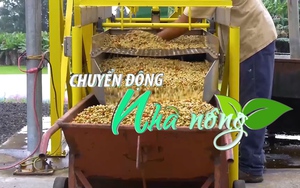 Chuyển động Nhà nông 27/2: Giá cà phê tăng mạnh trong tháng 2