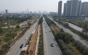 Hàng cây xanh chết khô trên Đại lộ Thăng Long được nhổ bỏ