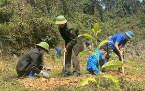 Trồng 6.000 cây cho gỗ quý tại Khu Bảo tồn thiên nhiên Kim Hỷ của Bắc Kạn