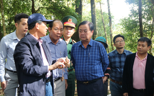 Bộ trưởng Lê Minh Hoan: Kon Tum nên phát triển sâm Ngọc Linh gắn với du lịch