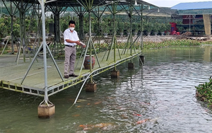 Vườn hoa lan tiền tỷ của một nông dân giàu có ở Bình Thuận, tạo việc làm lương cao cho tới 35 người