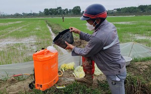 Hà Tĩnh: Bao bảo vệ thực vật vứt đầy kênh mương gây ô nhiễm môi trường trầm trọng