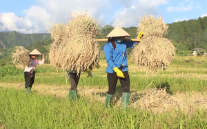 Nguồn lực tạo đà giúp phụ nữ Lai Châu thi đua làm giàu