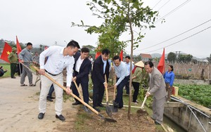 Hội Nông dân tỉnh Nghệ An tổ chức trồng hơn 700.000 cây, đặt mục tiêu mỗi hội viên trồng ít nhất 1 cây xanh