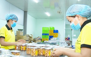 Việt Nam mua gần hết một loại hạt của Campuchia, chế biến bán cho Mỹ, Trung Quốc