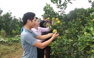 Hà Tĩnh: Tín dụng chính sách của Chính phủ qua Ngân hàng CSXH mang mùa xuân no ấm đến Hương Sơn