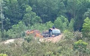 Bình Định loạn khai thác “đất lậu”, lãnh đạo địa phương dè chừng cán bộ “chỉ điểm”