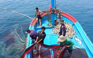  Mong manh cơ hội gỡ thẻ vàng cho thủy sản Việt Nam