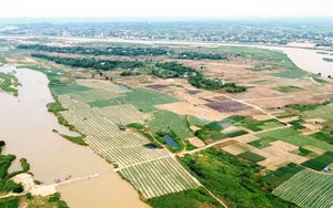 Quảng Ngãi đầu tư 3.800 tỷ phát triển khu đô thị mới đảo Ngọc trên sông Trà Khúc