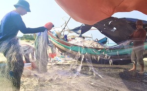 Video: Trúng đậm luồng cá đù, dân vùng bãi ngang Quảng Bình gỡ mỏi tay, có ngày bắt được gần 1 tấn